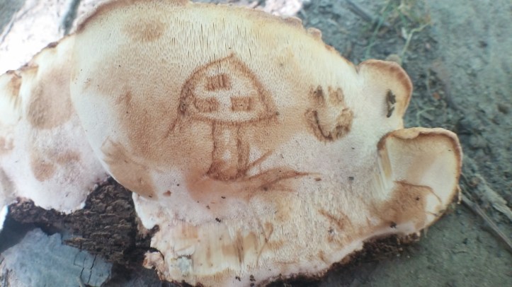 artist conk (15).jpg