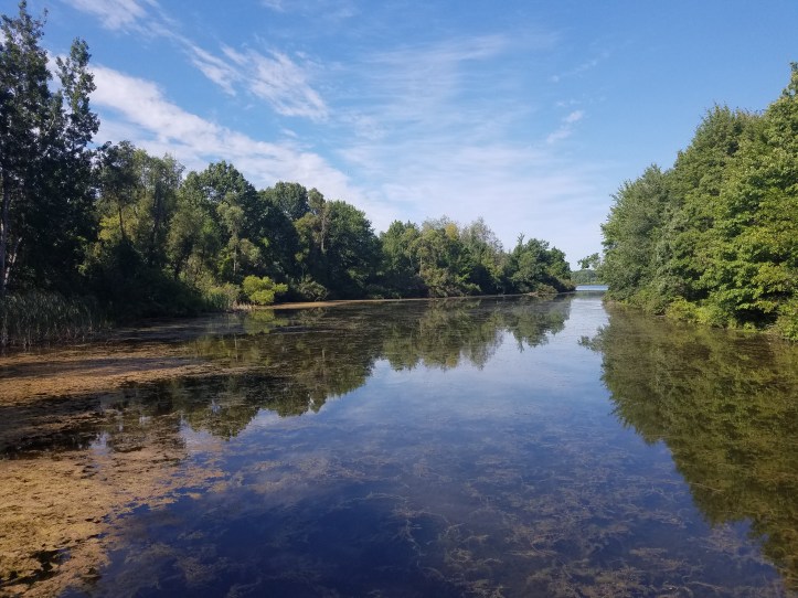 scenery on the lake (1).jpg