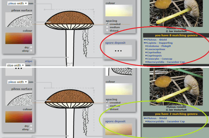 change genera number.png